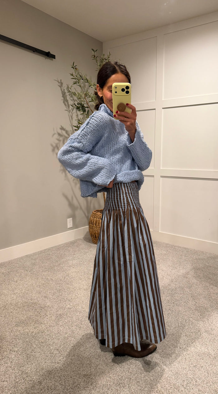 The Parker Stripe Skirt | Blue/Brown